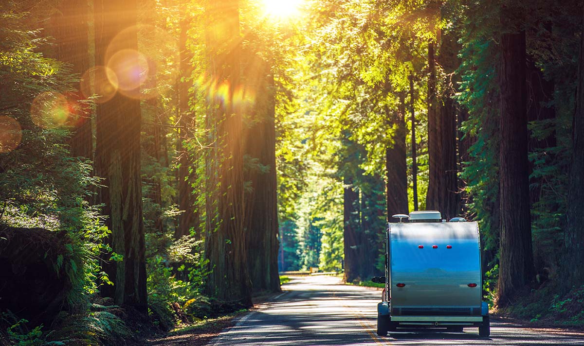 Travel trailer being pulled on a road through redwood trees after an rv inspection